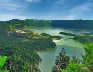 portekiz azores'ten bir görüntüde doğal hayatın ve hayvanlar aleminin şaşırtıcı ve insana huzur veren ortamı resimde görülüyor